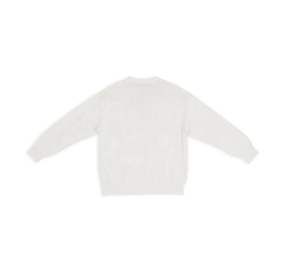 BALENCIAGA  |Crew Neck Pullovers Unisex Wool Blended Fabrics Street Style