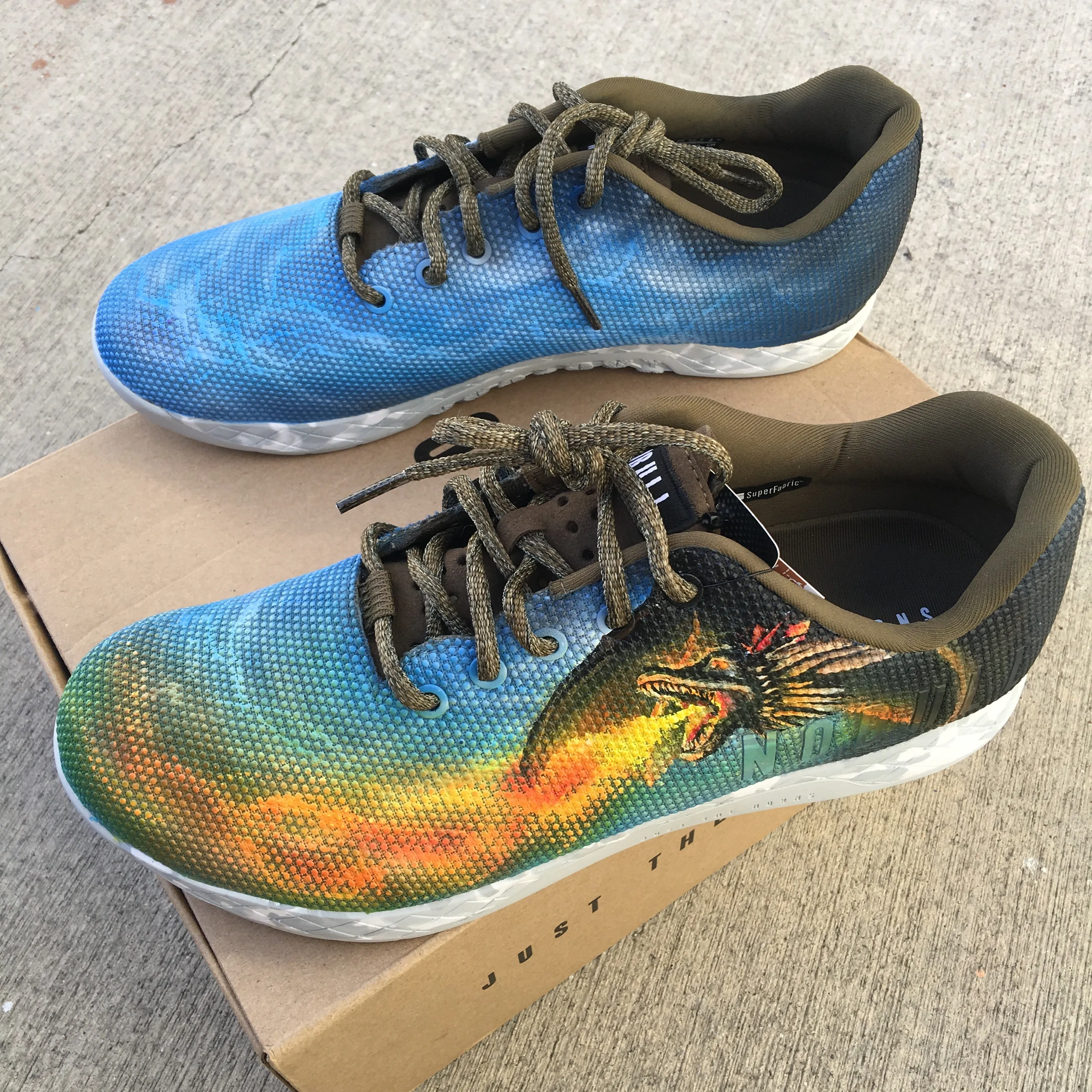 Custom Hand Painted Game of Thrones Dragon Themed NOBULL Trainers